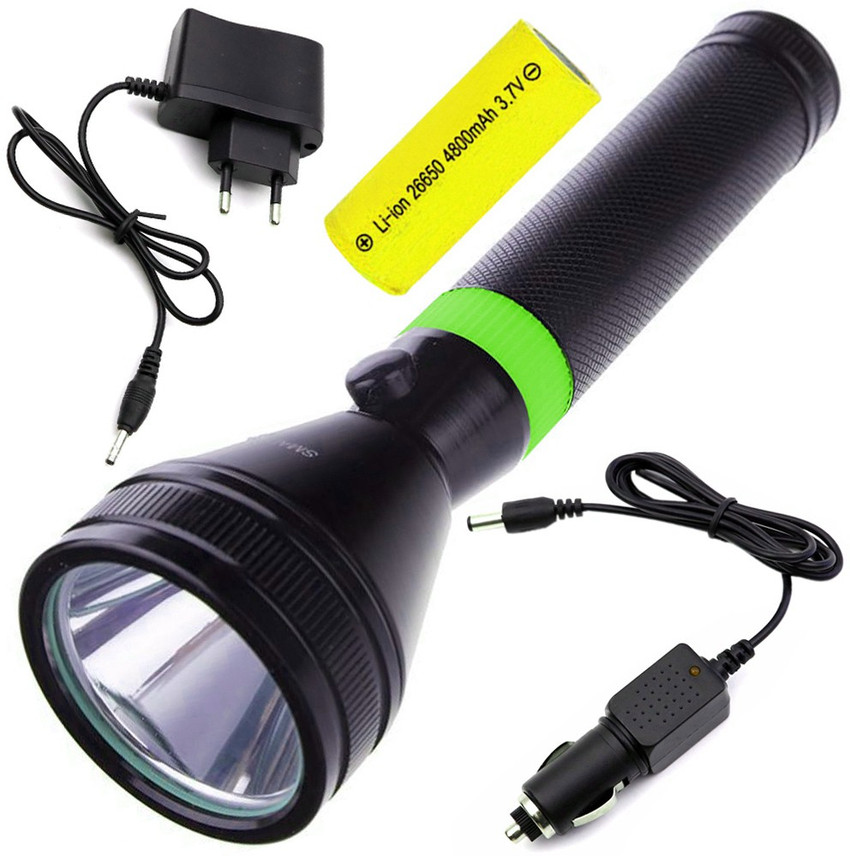 Security torch light deals