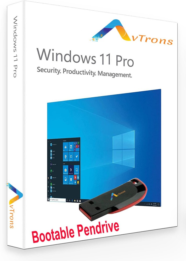 Windows 11 Professional – Pen Drive