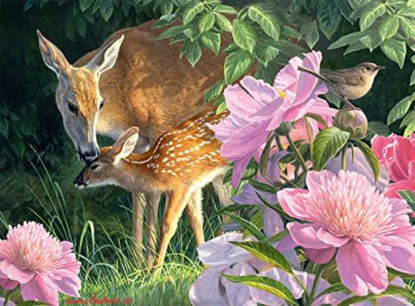 Spring Fawn Logo