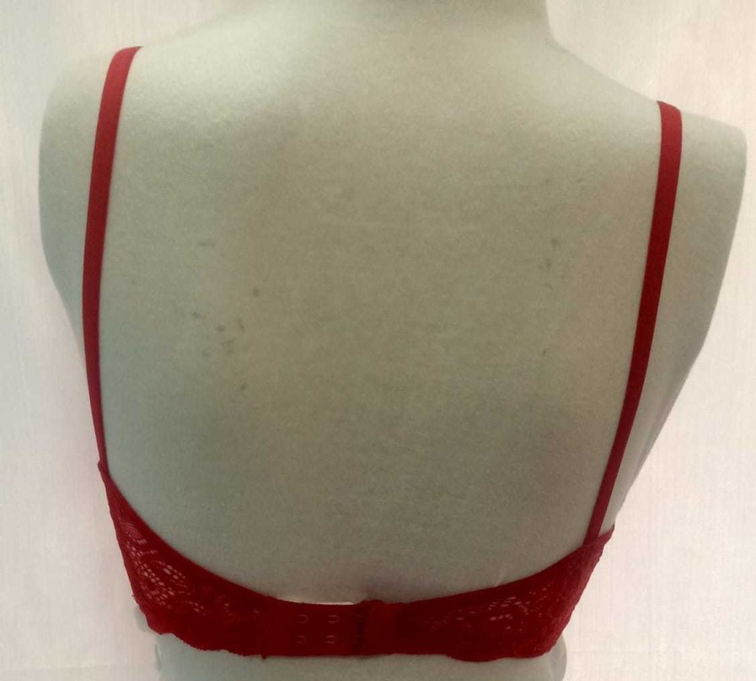 Buy Women Embroidery Half Cup Bra Sets Lace Underwear Sets (32B, Red)  Online at desertcartINDIA