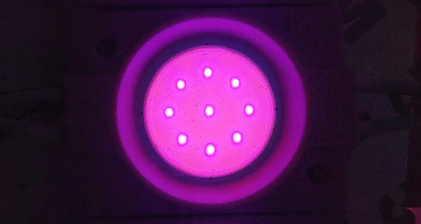 Pink underglow on sale