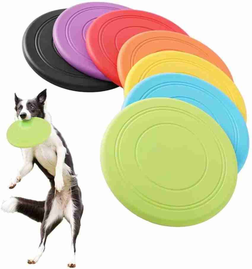 Planet 2025 dog frisbee