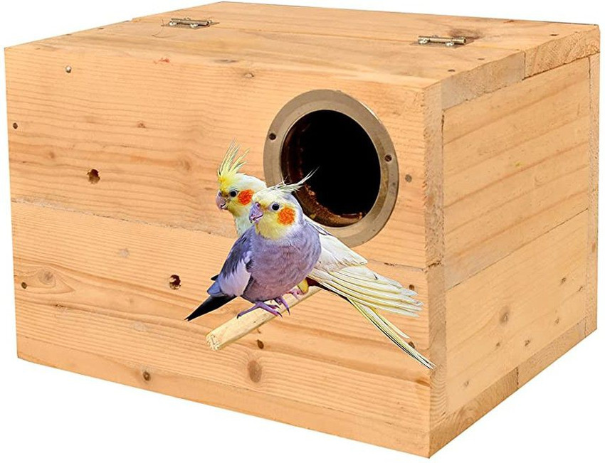 Taiyo Pluss Discovery Cockatiel Breeding Nest Box Natural Wooden