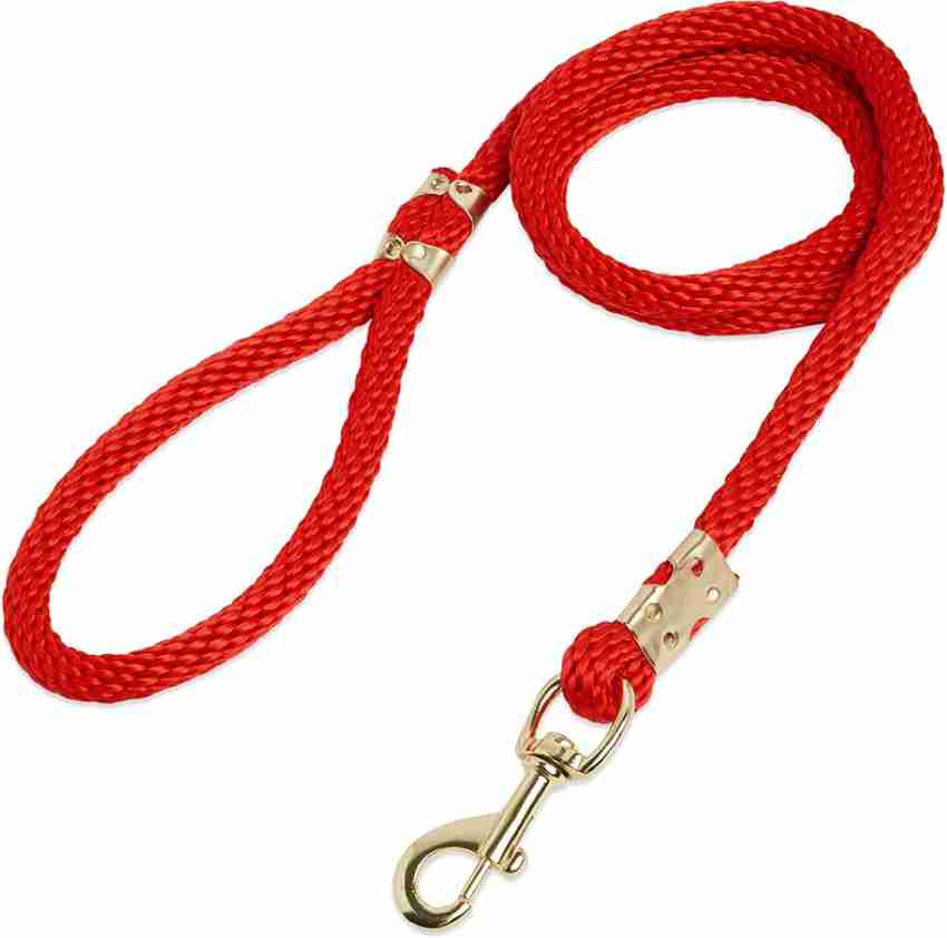 Thick rope best sale dog leash