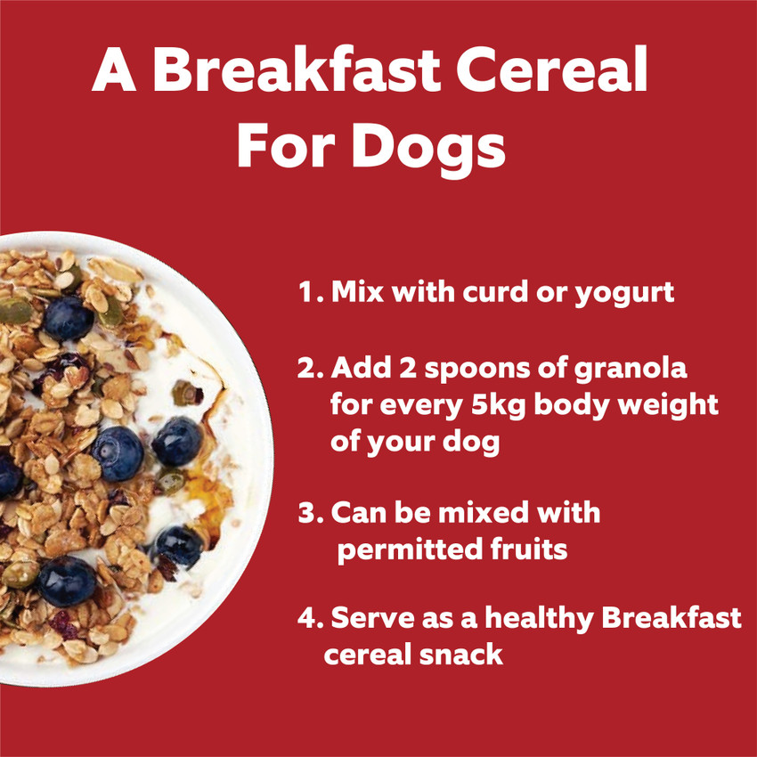Goofy Tails Kittu s Granola for Dogs and Puppies Wake Up Berry