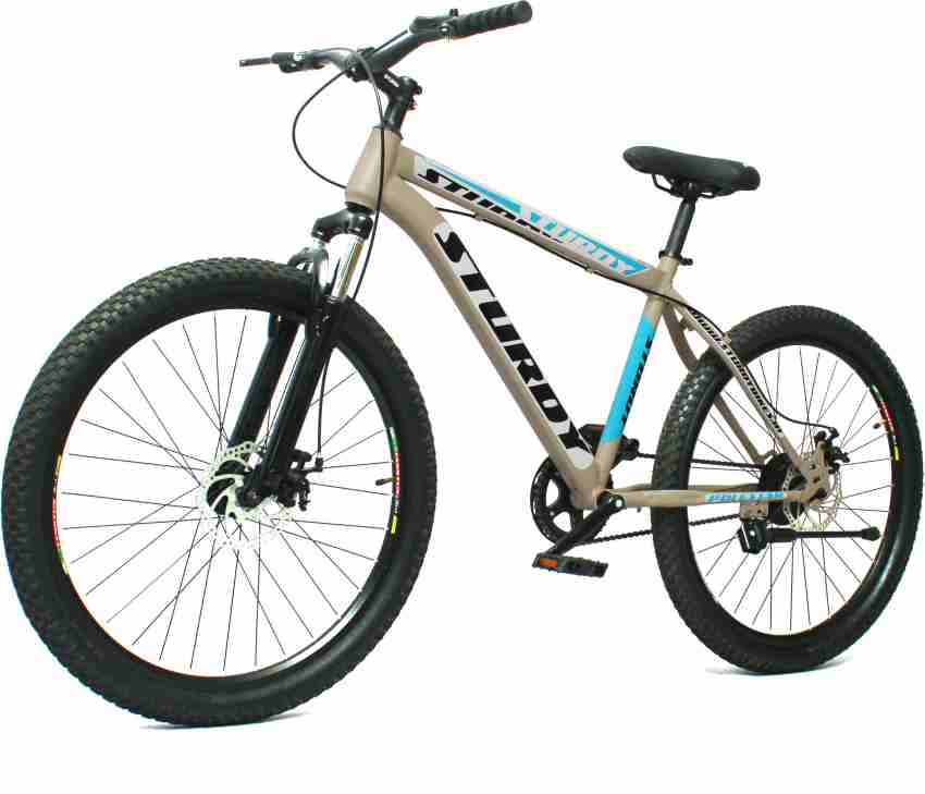 Singlespeed mountain bike hot sale