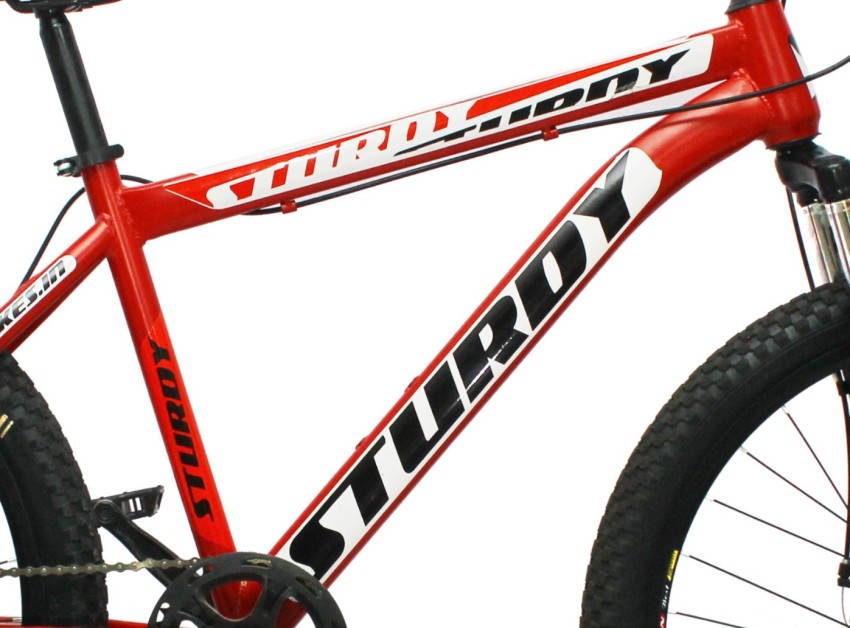 Minu mountain 2025 bike price