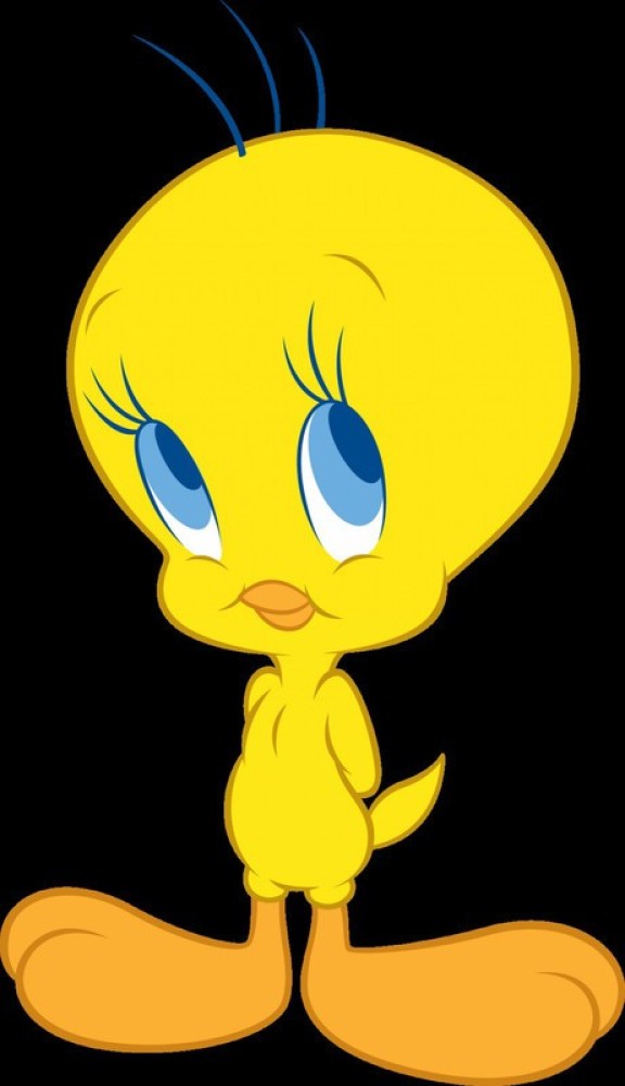 Tweety poster Multicolor Photo Paper Print Poster Photographic Paper (18  inch X 12 inch, Rolled Photographic Paper - Animation & Cartoons posters in  India - Buy art, film, design, movie, music, nature