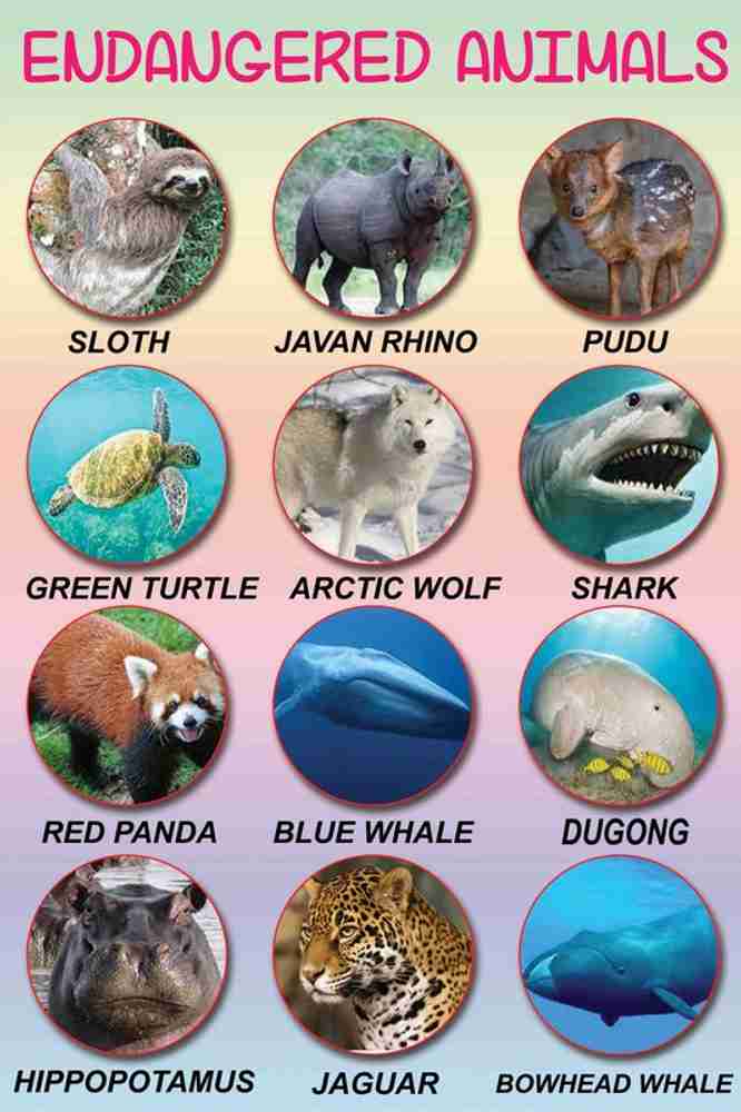 name some endangered animals