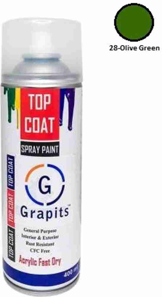 Nulomi Olive Green Spray Paint 400 ml Price in India Buy Nulomi
