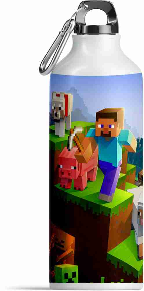 TrendoPrint Minecraft Sipper Water Bottle For Kids  