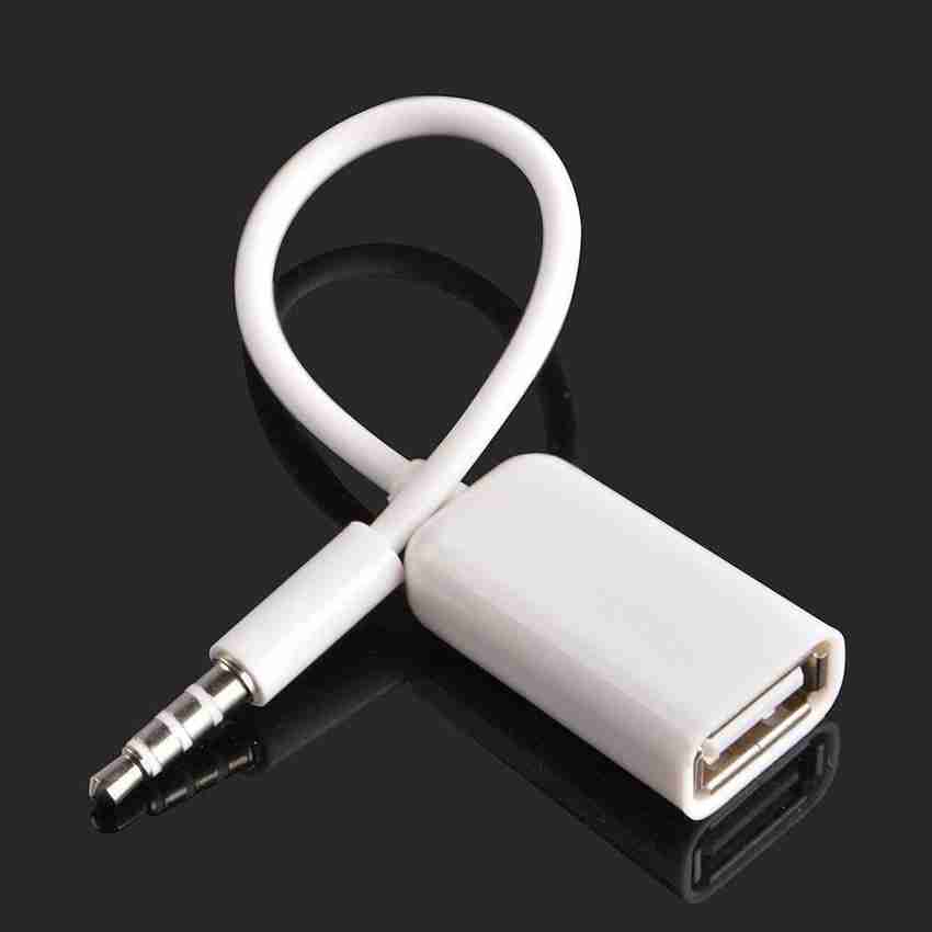 Aux to usb female store cable for car