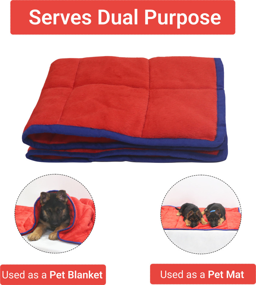 Quilted outlet pet blanket