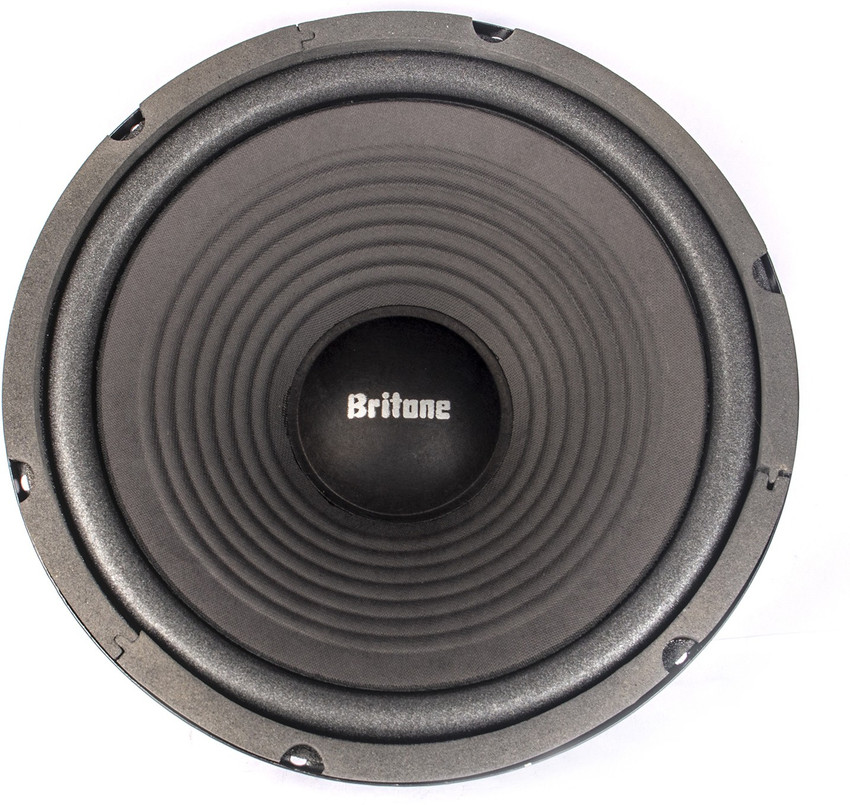 12 inch hotsell 80 watt speaker