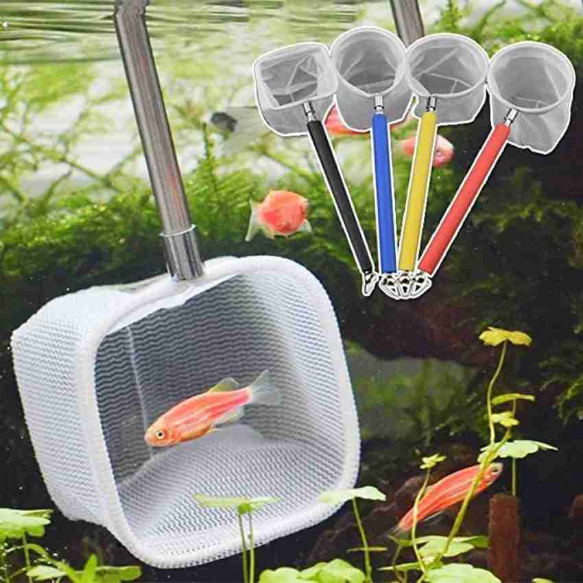 3pcs Tools for Shrimp Tank Accessories Fish Net for Fish Tank Small Net for  Pond Round Fish Tank Small