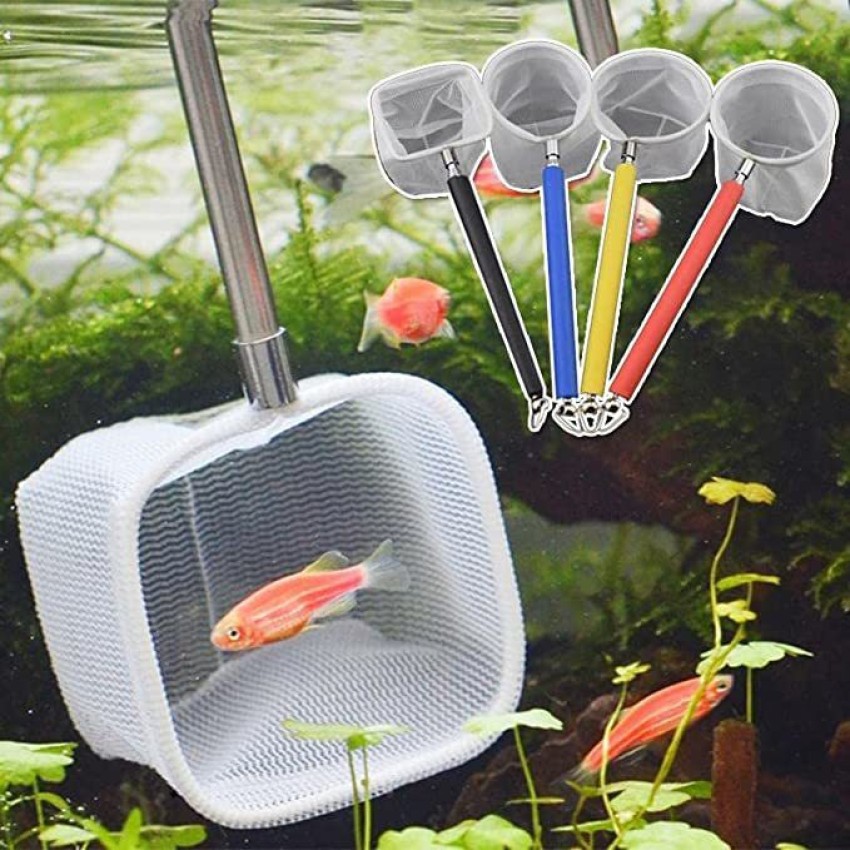 Petzlifeworld Extendable Small Fish and Shrimp Catching Fish Net with  Stainless Steel Handle Aquarium Tool Price in India - Buy Petzlifeworld  Extendable Small Fish and Shrimp Catching Fish Net with Stainless Steel