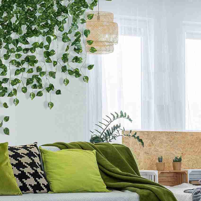 Archhies Money Plant For Decoration Hanging Green Plants Home ...