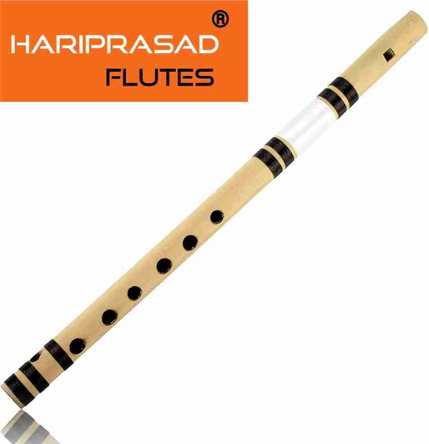 Flute price online in flipkart