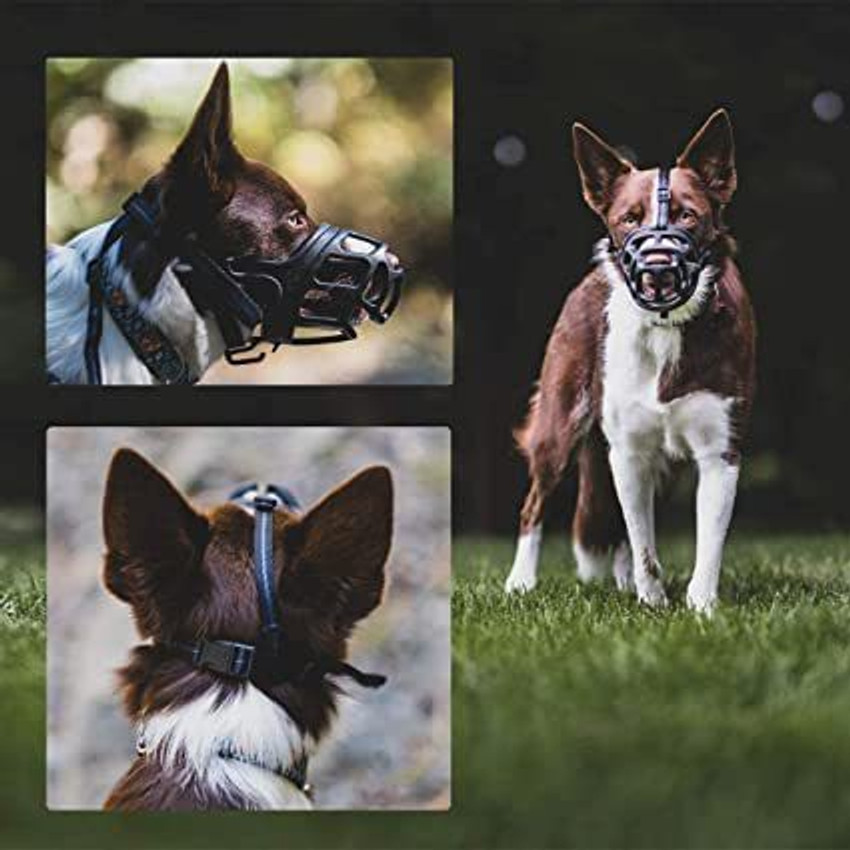 Dog nozzle cover 2025