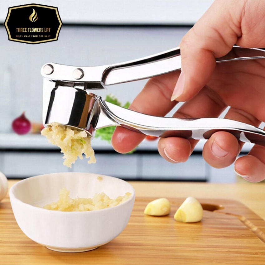 Garlic Crusher, Garlic Mincer to Press Clove and Smash Ginger Handheld Zinc  Alloy Rust-proof Tool for Kitchen