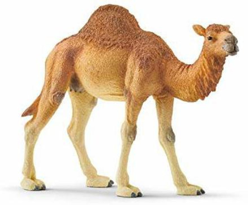Plastic 2025 toy camel