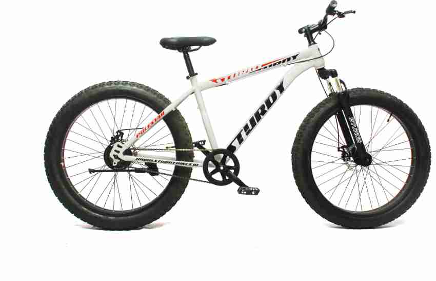 Single speed fat bike for sale sale