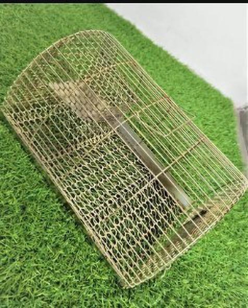 https://rukminim2.flixcart.com/image/850/1000/l23mhzk0/rat-trap/3/h/2/rat-trap-mouse-catcher-chuha-pinjra-squirrels-rodent-chipmunk-original-imagdgyebsbbfzqq.jpeg?q=90