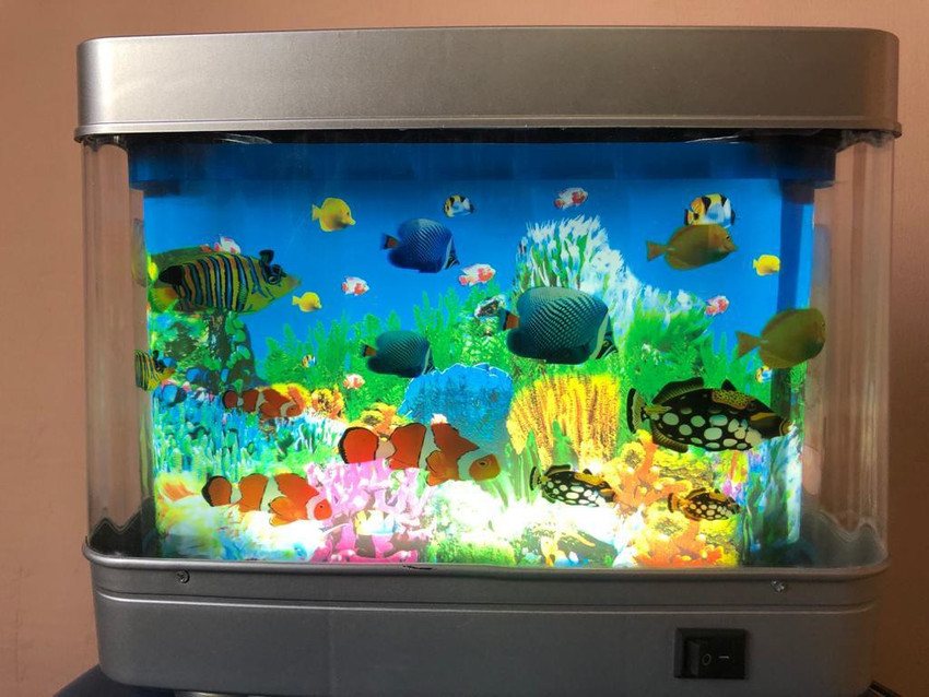 Aquarium motion lamp discount
