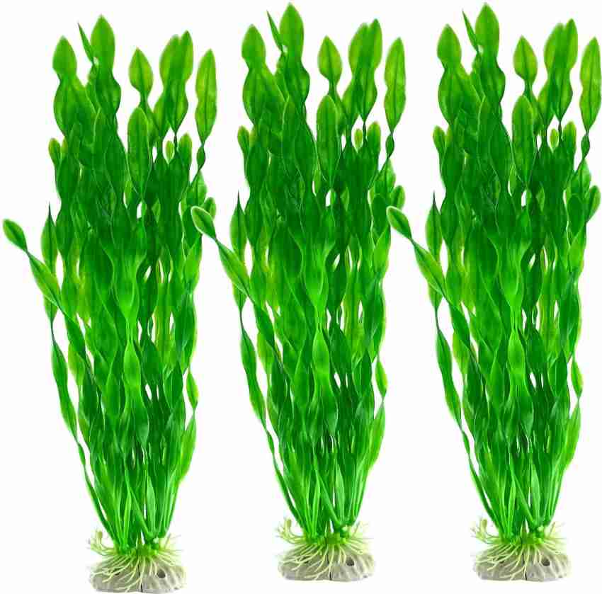 Jainsons Pet Products Artificial Seaweed Plants Height-12 for