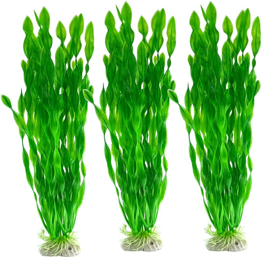 Danlai-Artificial Seaweed,50 Pcs Artificial Seaweed Water Plants for  Aquarium Decor,Used for Household and Office Aquarium Simulation Plastic  Seaweed Water Plants Decorations for Home Decoration 