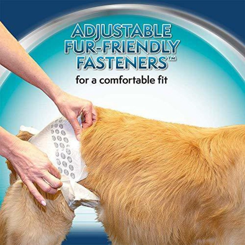 Simple solutions outlet dog diapers xl