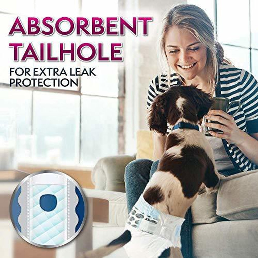Simple solution dog diapers xxl on sale