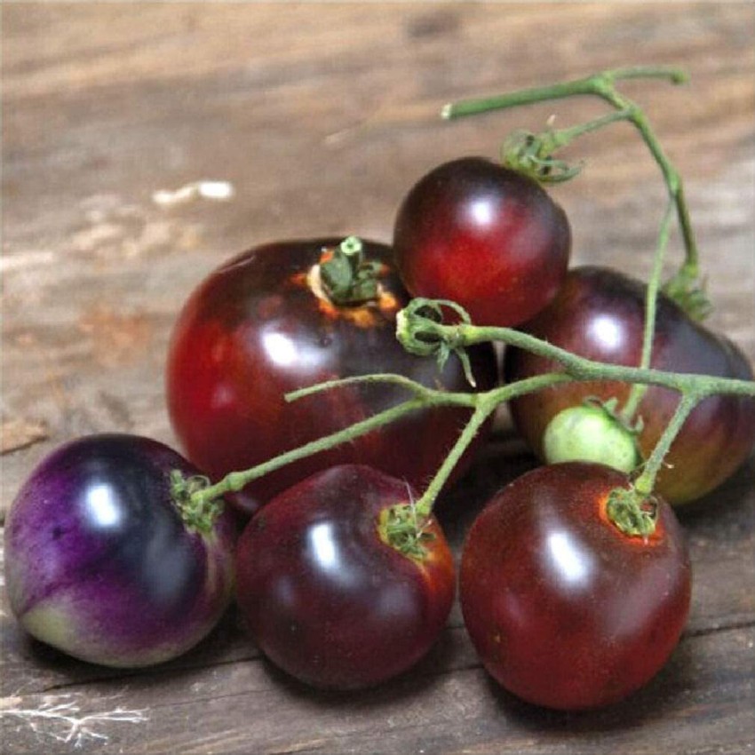 Blue Berries - Organic Tomato Seeds