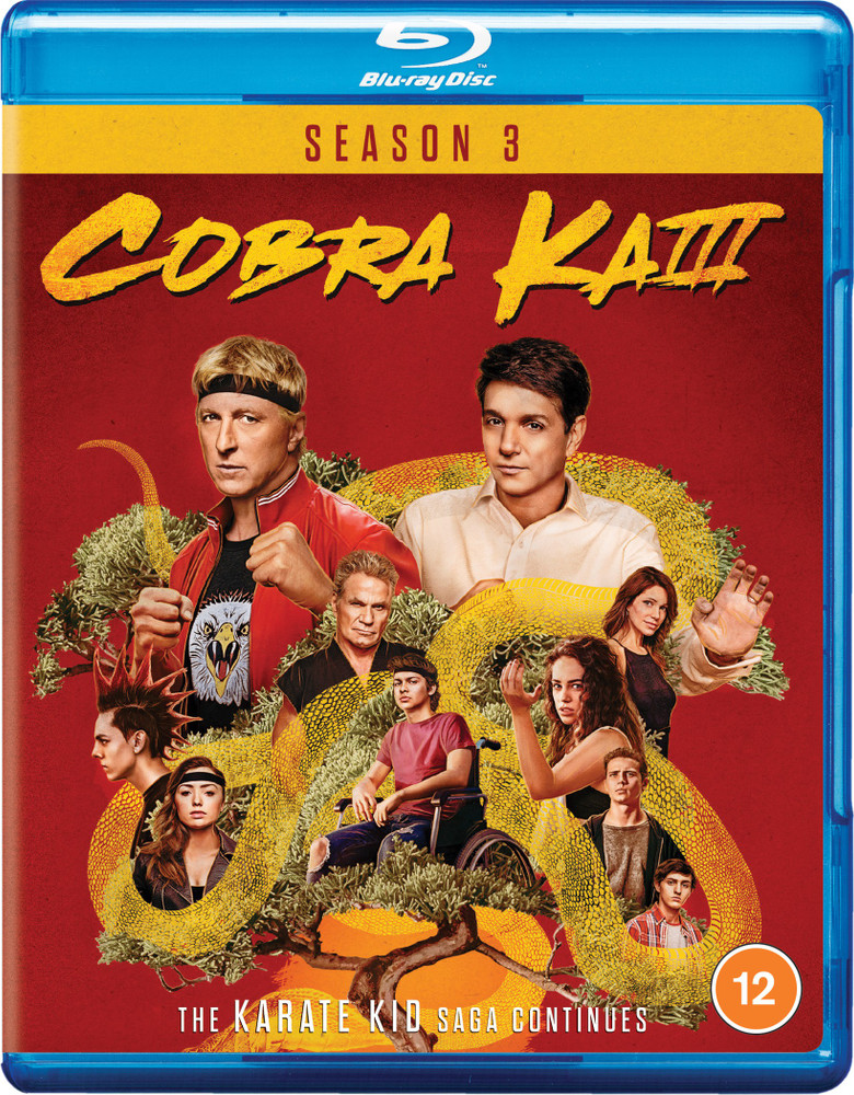 cobra kai visuals