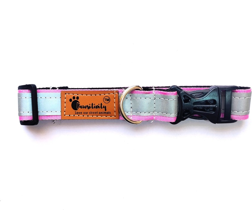 Pawsitivity 2024 dog harness