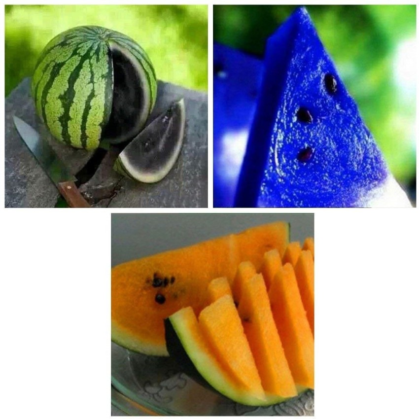 blue watermelon seeds