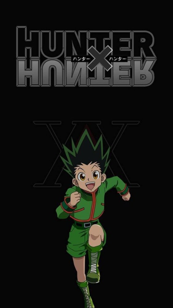 Hunter X Hunter Anime Series Hd Matte Finish Poster Paper Print - Animation  & Cartoons posters in India - Buy art, film, design, movie, music, nature  and educational paintings/wallpapers at