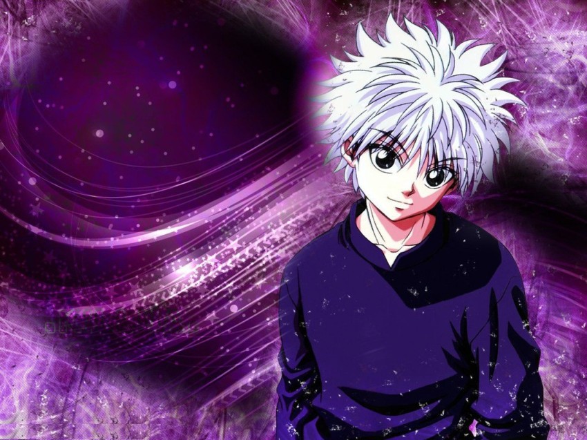 Hunter x Hunter 2011 Anime  Japanese Anime Wiki  Fandom