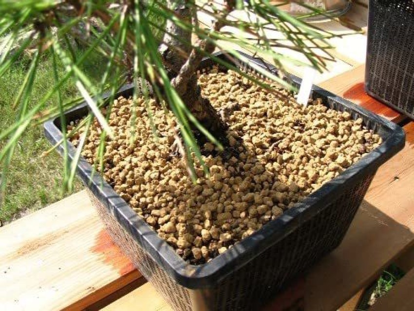 Substrat bonsaï - Akadama - 2L