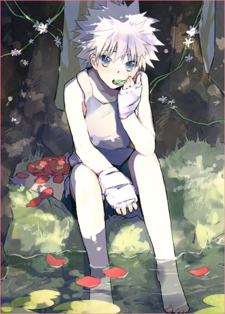 Hunter X Hunter Anime Killua Zoldyck Art Print Poster 12x18