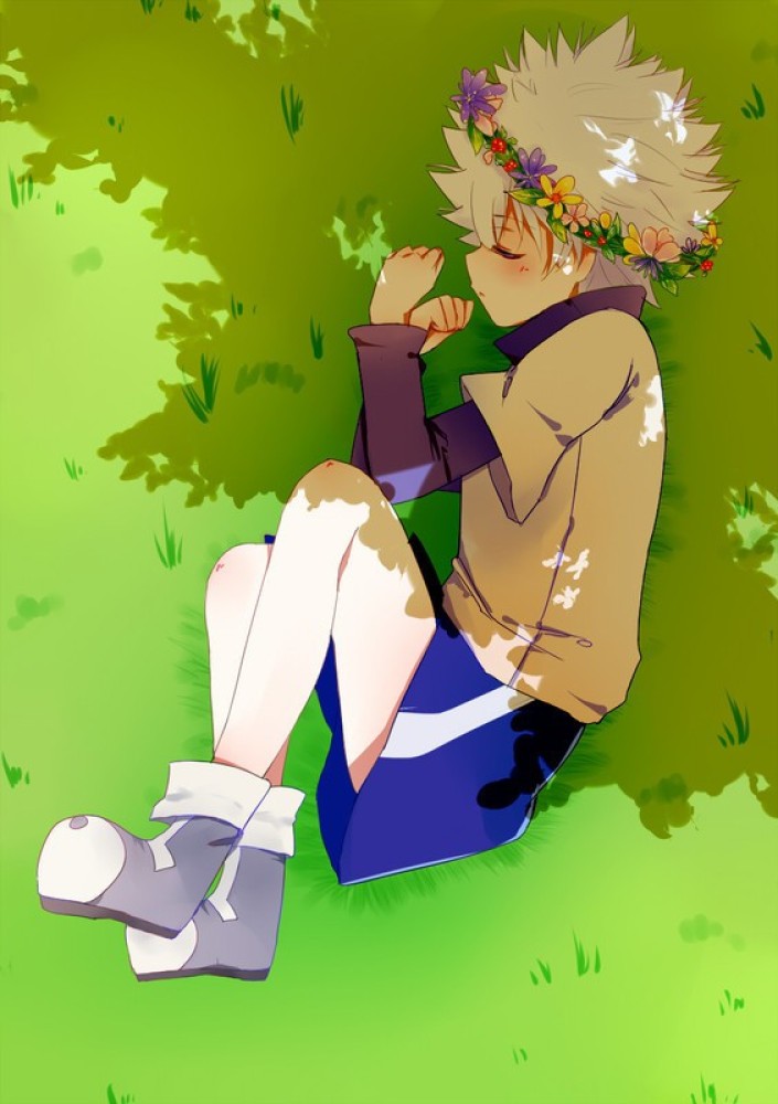 Killua Zoldyck Hunter X Hunter Anime Series Hd Matte Finish Poster Paper  Print - Animation & Cartoons posters in India - Buy art, film, design,  movie, music, nature and educational paintings/wallpapers at