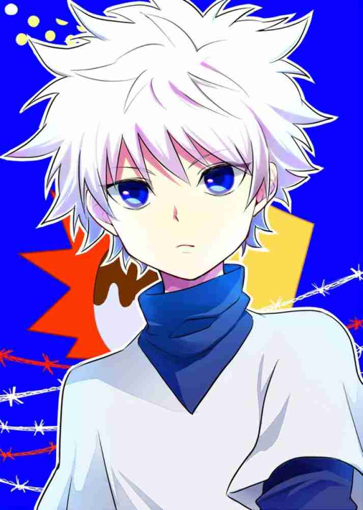 Killua Zoldyck Hunter X Hunter Anime Series Hd Matte Finish Poster