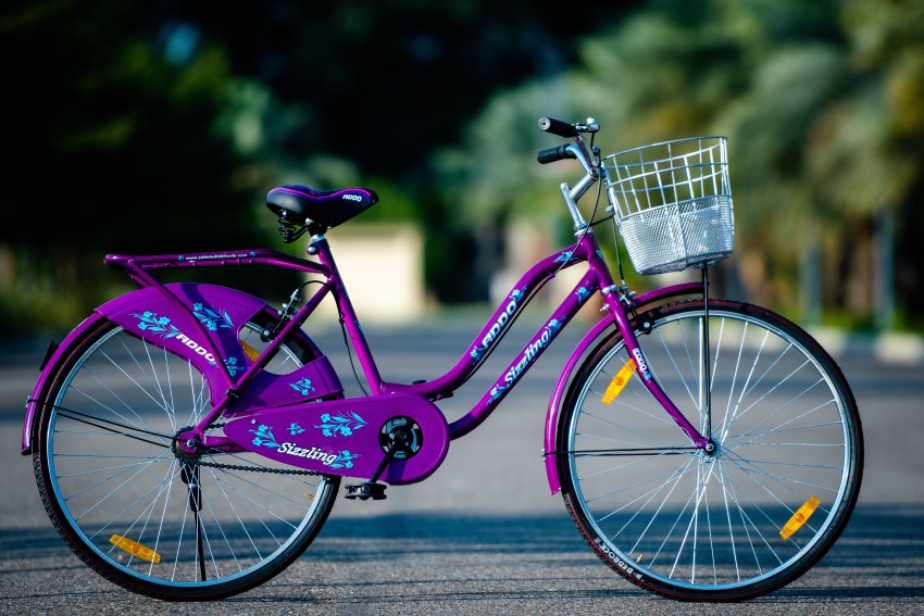 Ladies discount cycle flipkart