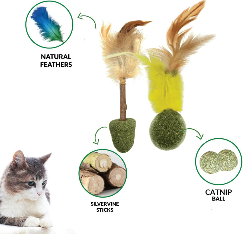 Goofy Tails Compressed Catnip Toy Combo for Kittens and Cats 5