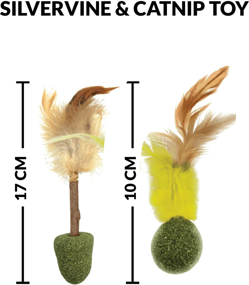 Goofy Tails Compressed Catnip Toy Combo for Kittens and Cats 5