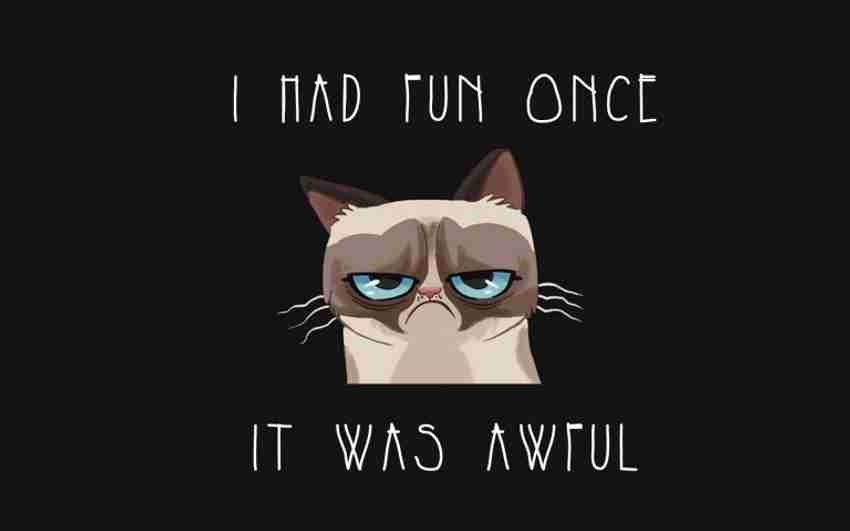 Poster Grumpy Cat Quotes sl385 (Wall Poster, 13x19 Inches, Matte,  Multicolor) Fine Art Print - Art & Paintings posters in India - Buy art,  film, design, movie, music, nature and educational paintings/wallpapers