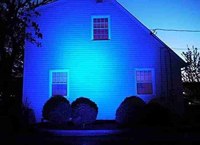 Blue outdoor flood lights hot sale