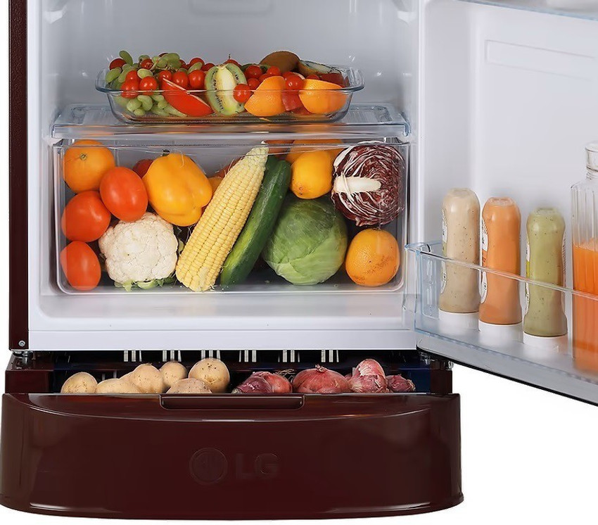 Lg fridge shop latest model 2021