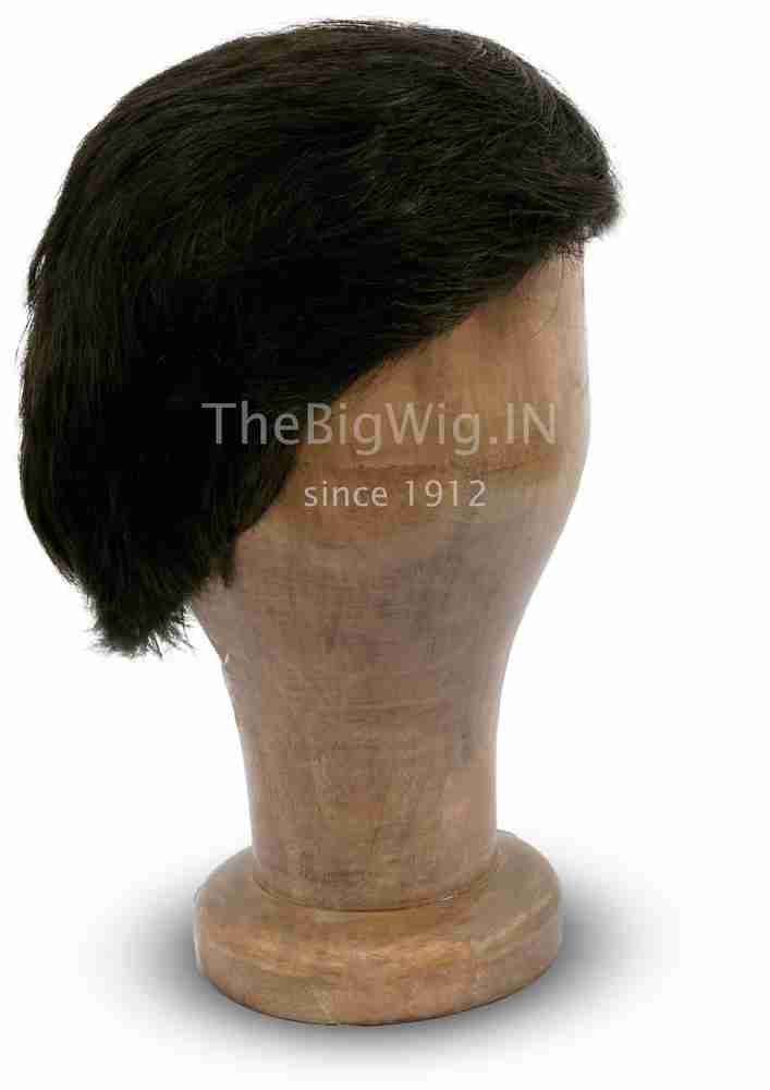 The Big Wig Medium Hair Wig Price in India - Buy The Big Wig The BIG WIG
