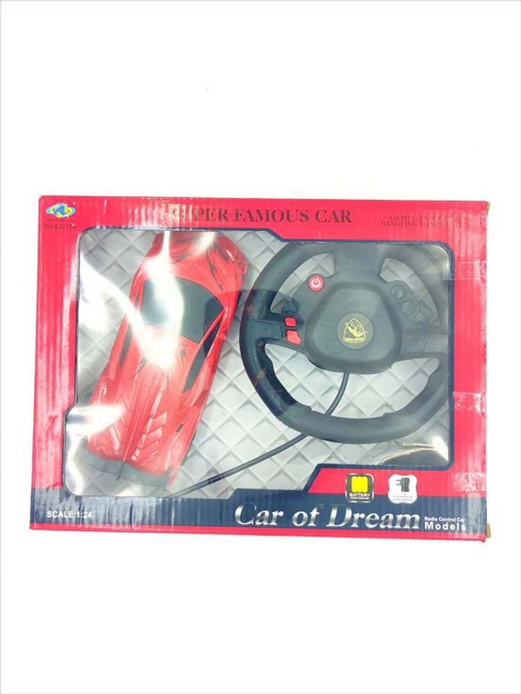 KID S CHOICE GRAVITY INDUCTION R C CAR WITH STEERING DANGILING